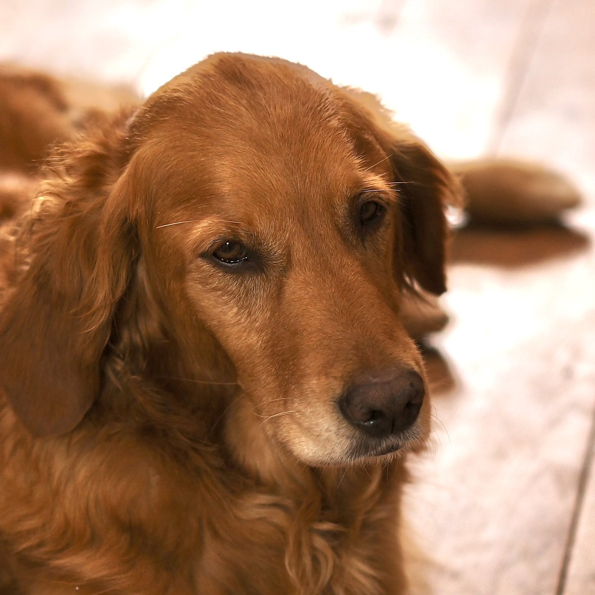 Monty Don tweet media