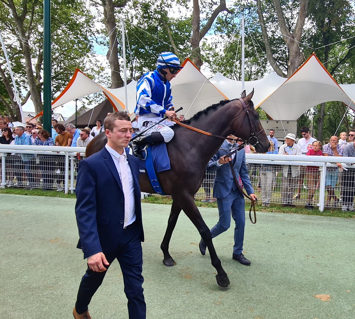 seenthestars's tweet photo. Courage mes braves! 🇫🇷
#HorizonDore
#BigRock
#FacteurCheval
#RueBoissonade
#QipcoBritishChampionsDay https://t.co/Q4fG4IjZGj