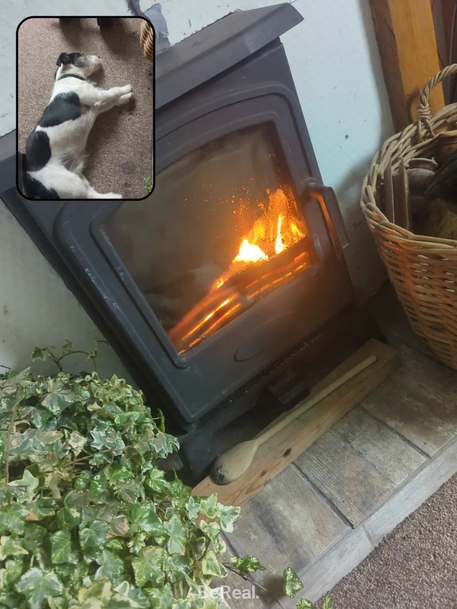 Adrian Sadzikowski tweet media