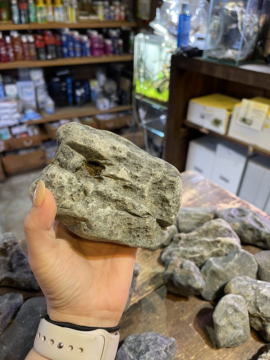 ADA新レイアウト素材 ジャグレストーン 穴空き凹凸があるのがジャグレ