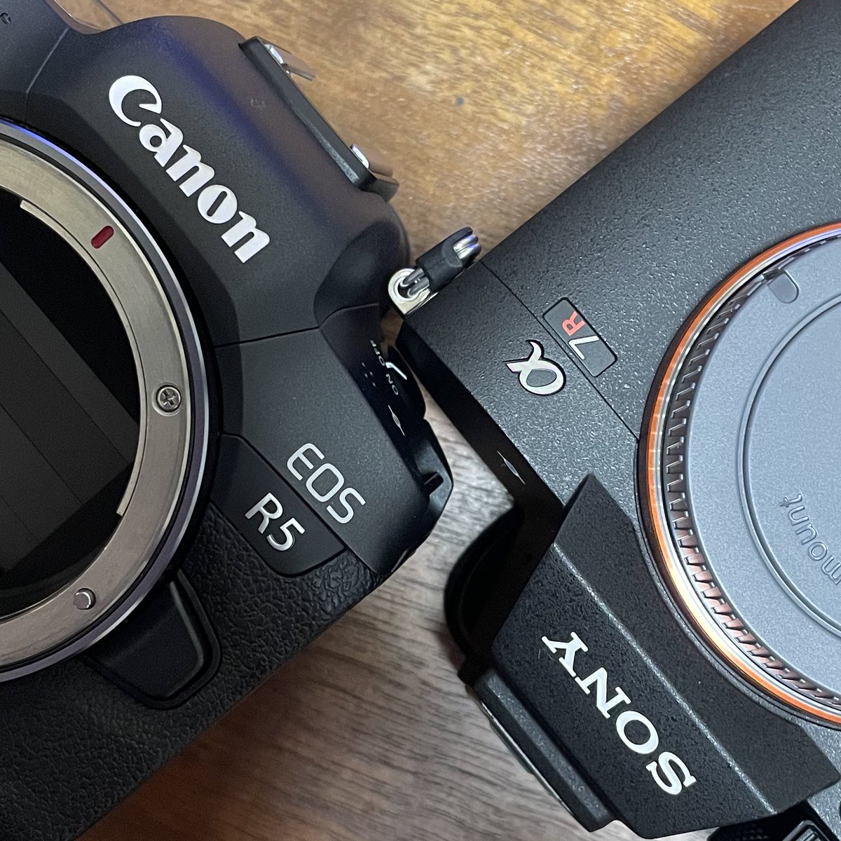 ばぐらーP tweet media