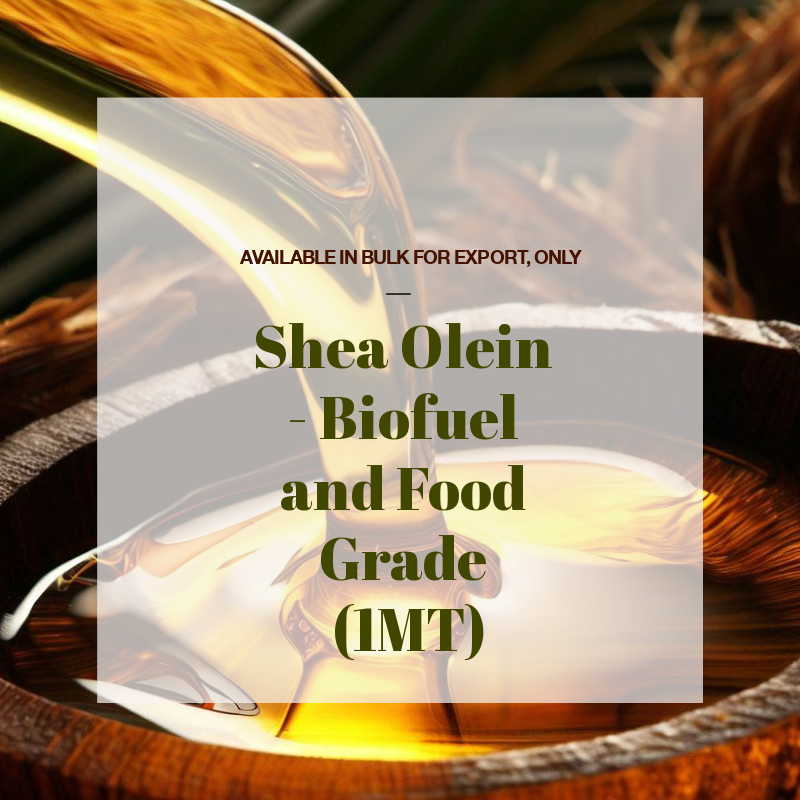 OTIGATI's tweet photo. Shea olein is the liquid fraction of shea butter, which is obtained by fractionation or by adding a solvent. Shea olein is great for food, cosmetic products, and for biofuel, as it has many health and environmental benefits. 
https://t.co/sfYPqIVji9
#exportsheaolein #sheaolein https://t.co/RDRMxVG8lk
