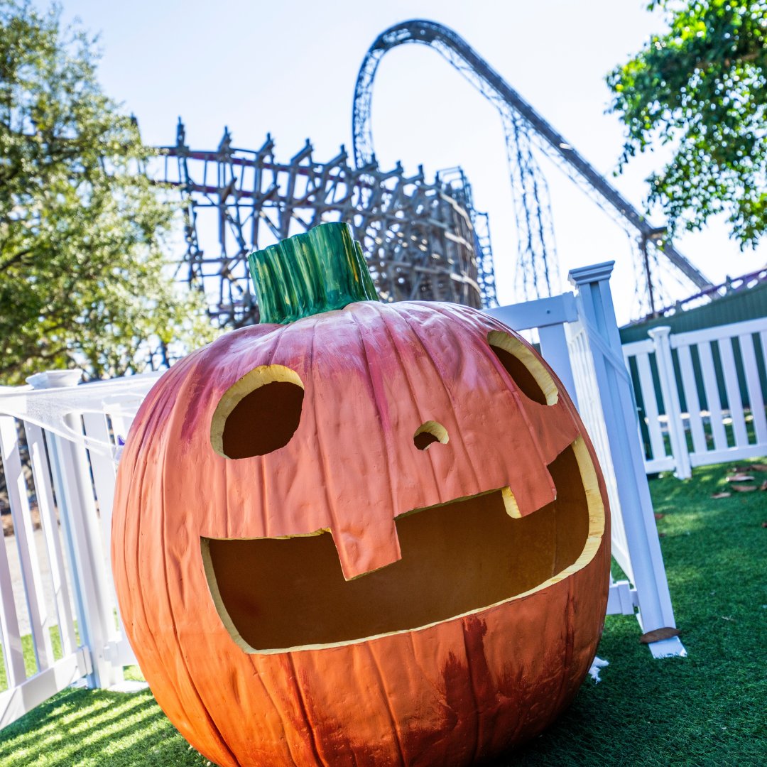BuschGardens's tweet photo. Give 'em pumpkin to talk about! π With two more weeks of Spooktacular festivities, we're feeling more ghoulish than ever. Weβll be casting magical spells from 12 β 4 PM at the Festival Walkway Saturdays & Sundays PLUS, Monday Oct. 30 & Tuesday Oct. 31! See you soon. π» https://t.co/QOSouzuyCl
