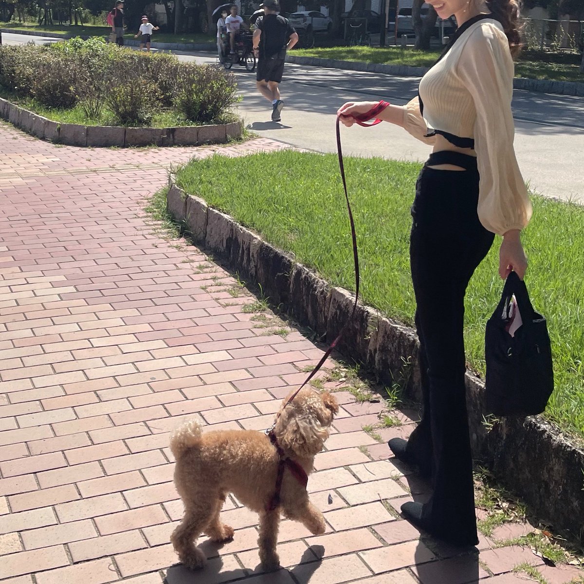 pa88chi's tweet photo. 𓂃𓈒🐕 https://t.co/ZQVSPiuG9o
