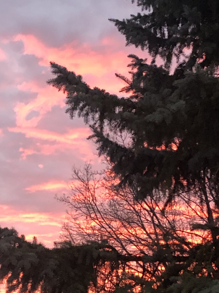 Beautiful morning