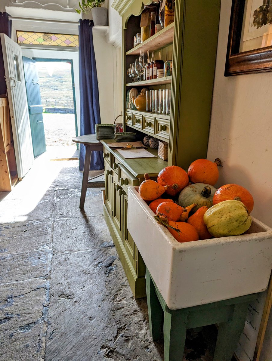 robbie mccauley (@robbiewmc) on Twitter photo Pumpkins and sunshine on the menu today Pumpkins and sunshine on the menu today