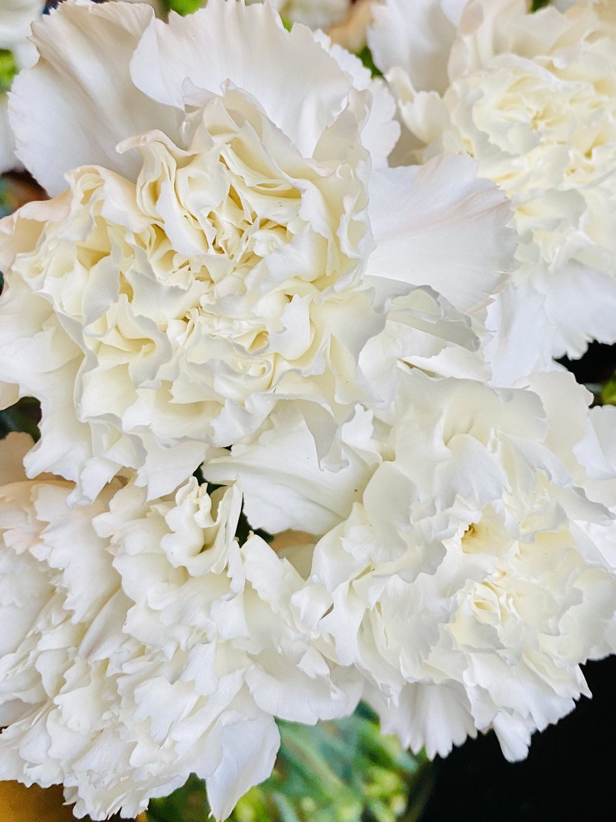 EmmanuelPierrat's tweet photo. Nouveau vase pour des œillets blancs, symbole tant de la fidélité que de la pureté des sentiments amoureux, appelant donc la simplicité…
#fleur #langagedesfleurs #symbole #oeillets #bonheurdujour #oeilletsblancs https://t.co/FyGS4ycKsl