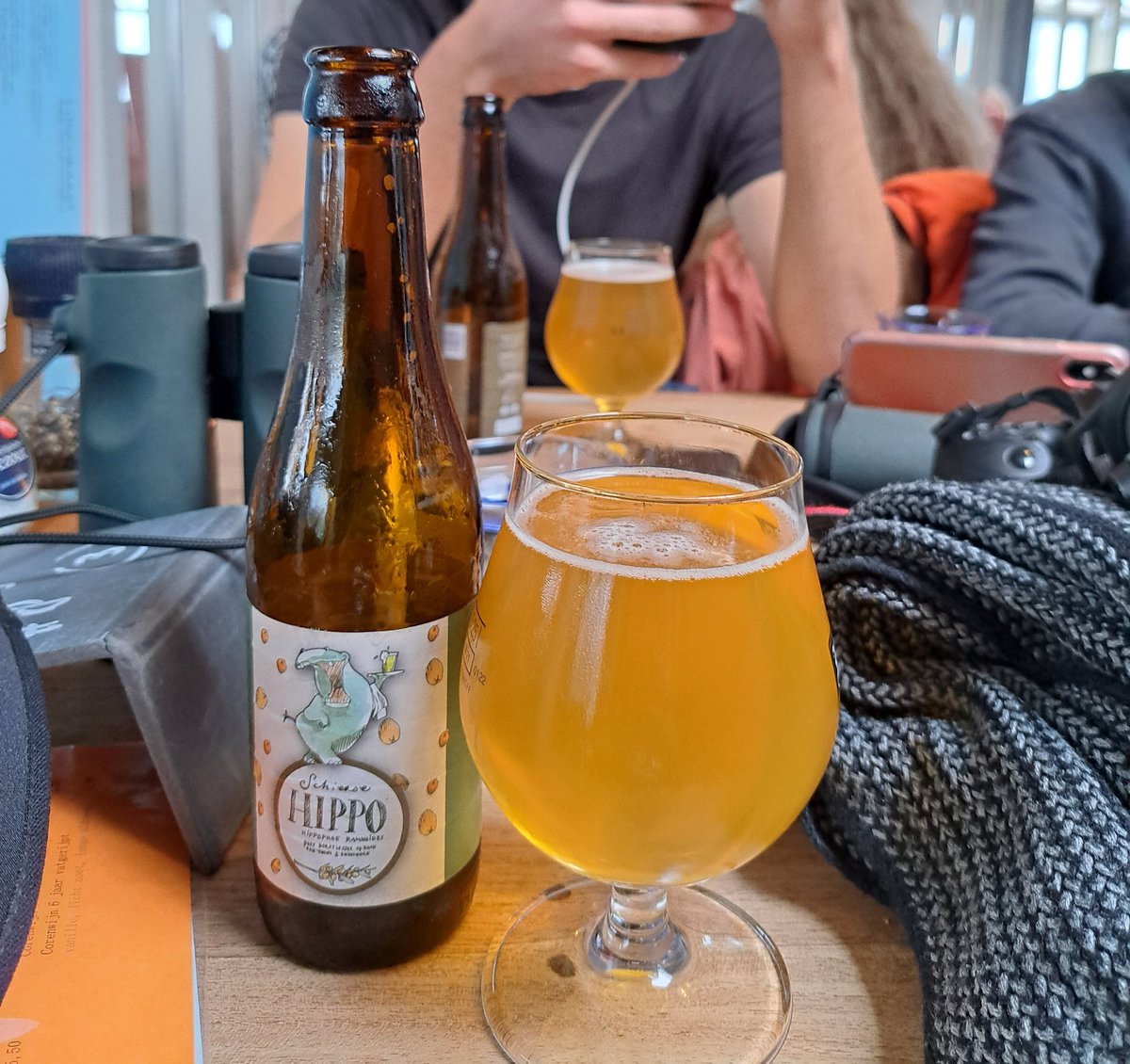 A birding session on Schiermonnikoog, with finally some calm weather, resulted in this very welcome Pallid Swift! With the wind coming from the South for the rest of the weekend, can we expect to see more birds?