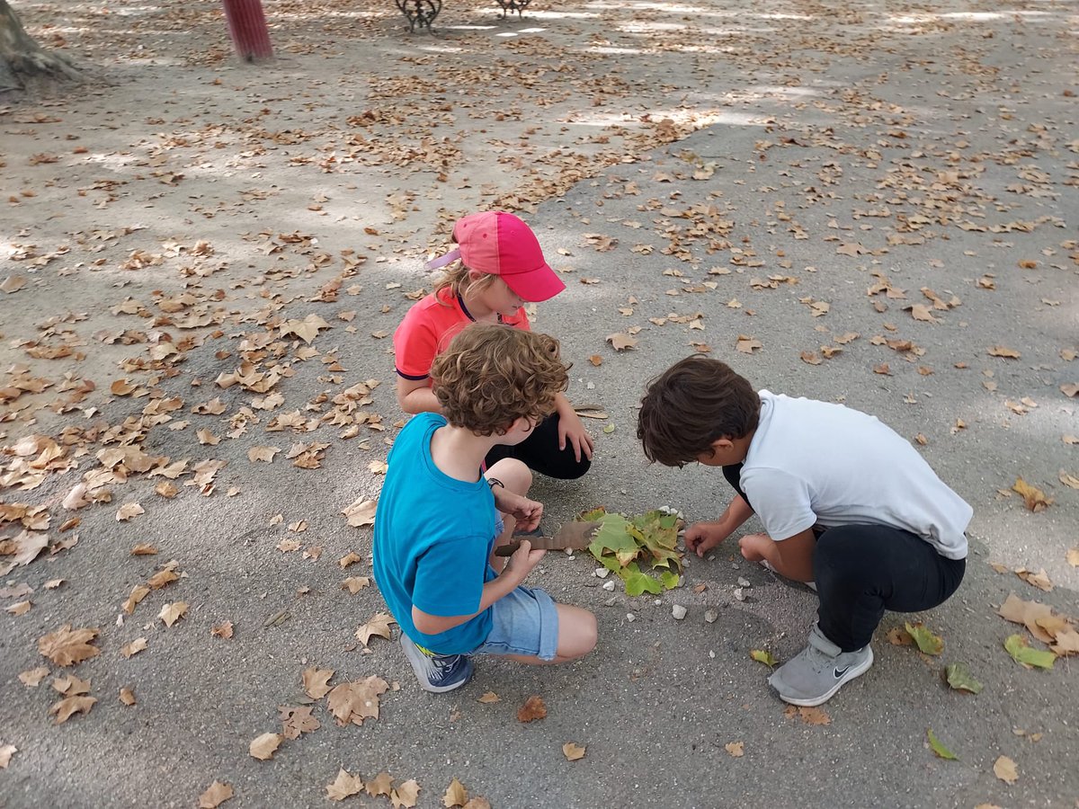Maintenonecole's tweet photo. L’automne est là offrant aux CE1 de la matière pour du land art ! https://t.co/Z3BZ8NjVZT