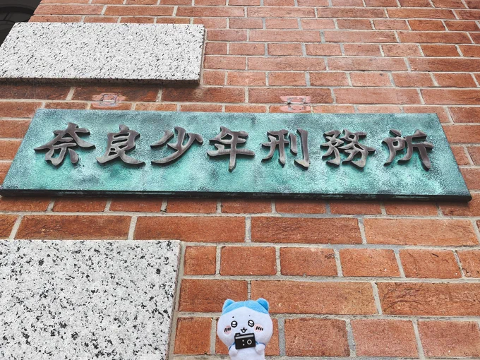 姉がぬい撮りに目覚めてしまいち◯かわちゃんのぬいを常に持ち歩いてるので写真いっぱい撮ってきた