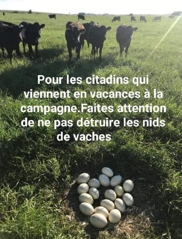 Et un bon week-end ! 

#FrAgTw