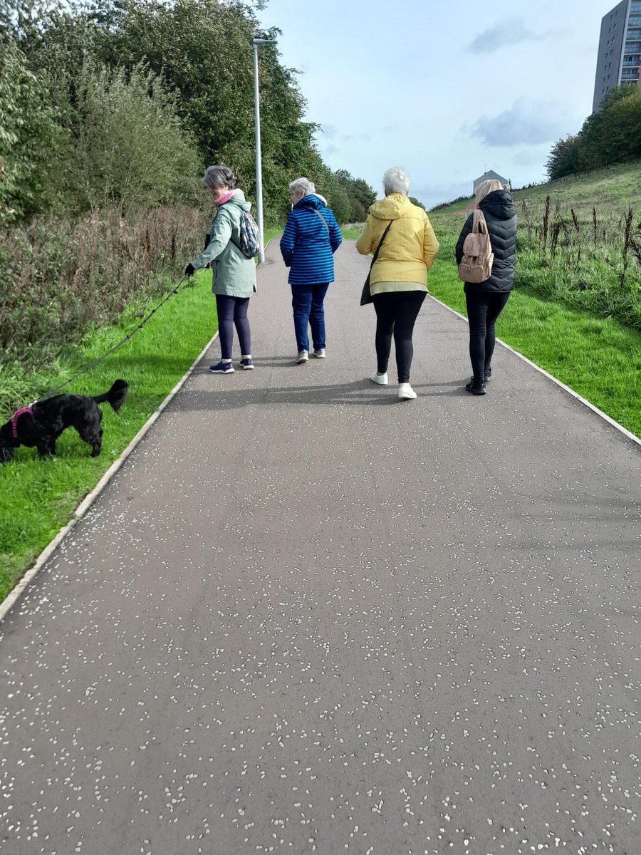 HnH_TheTrust's tweet photo. Great #walk along Malls Mire with great company๐๏ธ Our four legged friend Skye also enjoyed it!๐ถ
Fancy joining our weekly #walkinggroups? Explore new places & get plenty of chat...
TUESDAY EVENING WALK
๐ https://t.co/KO1JgrVDHv
WALK WAY US WEDNESDAY
๐ https://t.co/IkO5KhRO6q https://t.co/itlfrJ9vM4