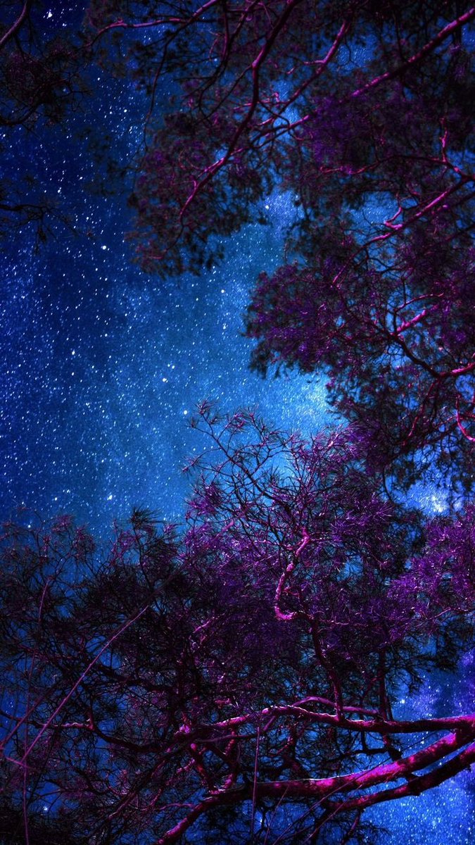 violettweets_'s tweet photo. starry night. https://t.co/gBXsnrVUQl