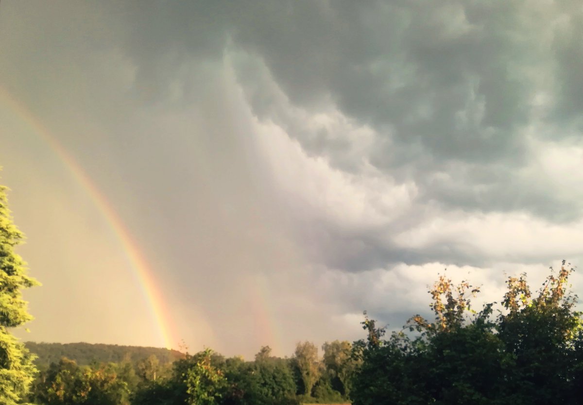 FloraGreenFauna's tweet photo. Try to be a rainbow in someone's cloud🌄

#rainbow #arcobaleno https://t.co/EGiApq4oeH