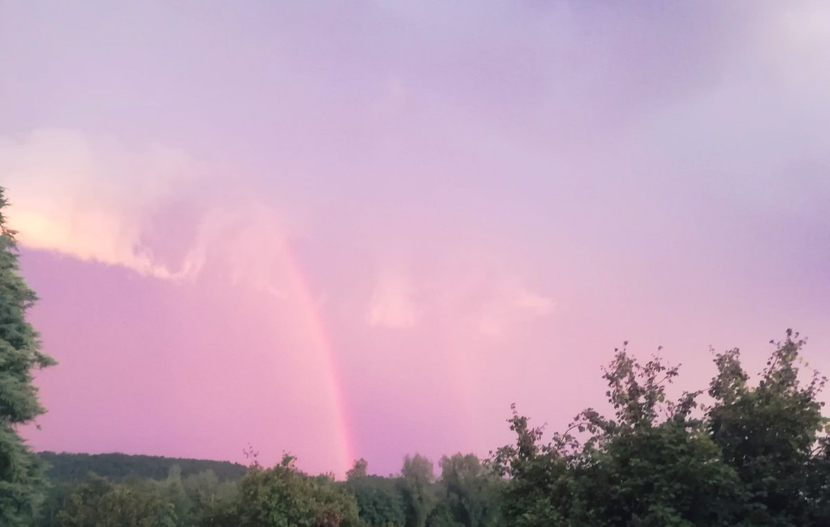 FloraGreenFauna's tweet photo. Try to be a rainbow in someone's cloud🌄

#rainbow #arcobaleno https://t.co/EGiApq4oeH