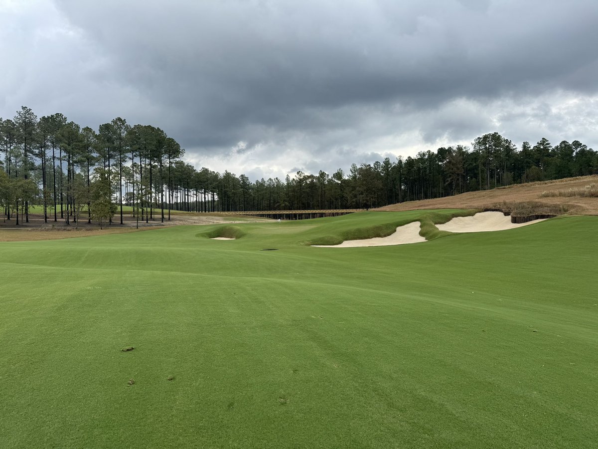 Gary Williams tweet media