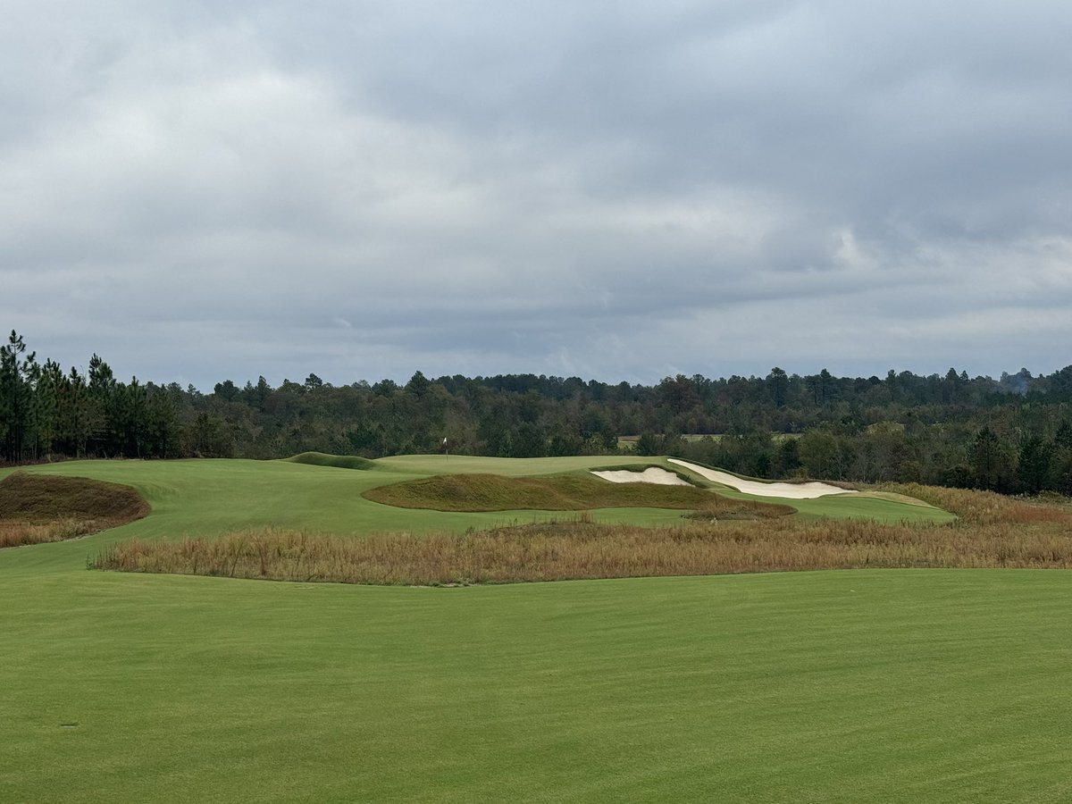 Gary Williams tweet media