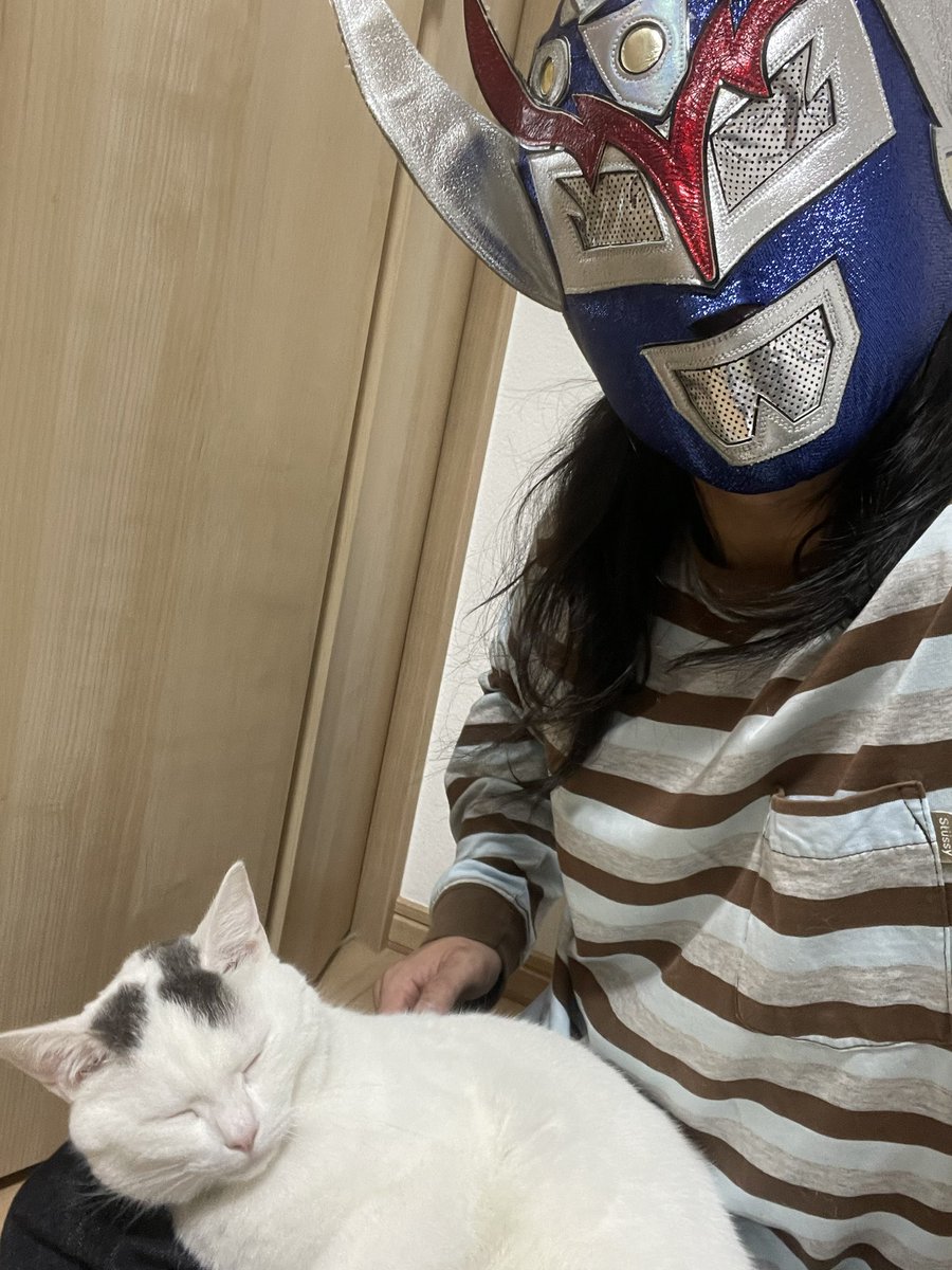 yuusha_nobuharu's tweet photo. 急に甘えだす村下さん。

#猫のいる暮らし
#LAGOCEAN
#覆面レスラー https://t.co/9ppin5oHYk