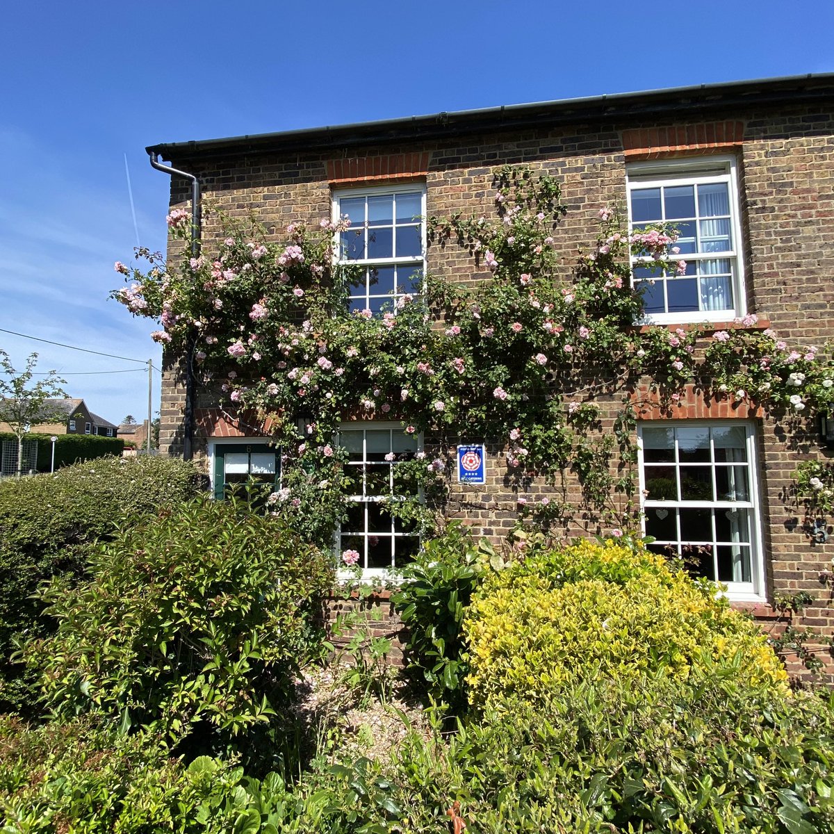 greencottages's tweet photo. Late availability short breaks in our holiday cottages overlooking village green next to village cafe/shop
&amp; pub. Book direct for best rates https://t.co/xgfOMM6bWp

 #urlaub #vacation #lateavailabilitycottages #lateavailability #lastminuteholiday #kent #greentravel #greentourism https://t.co/VYiAZiooyE