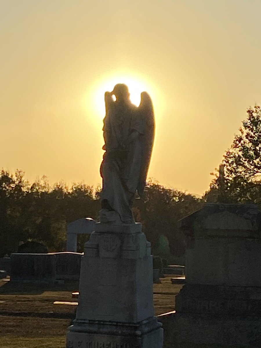 Angel halo at sunset this evening—Forrest Cemetery, Gadsden, AL
#angel #sunset #peaceful