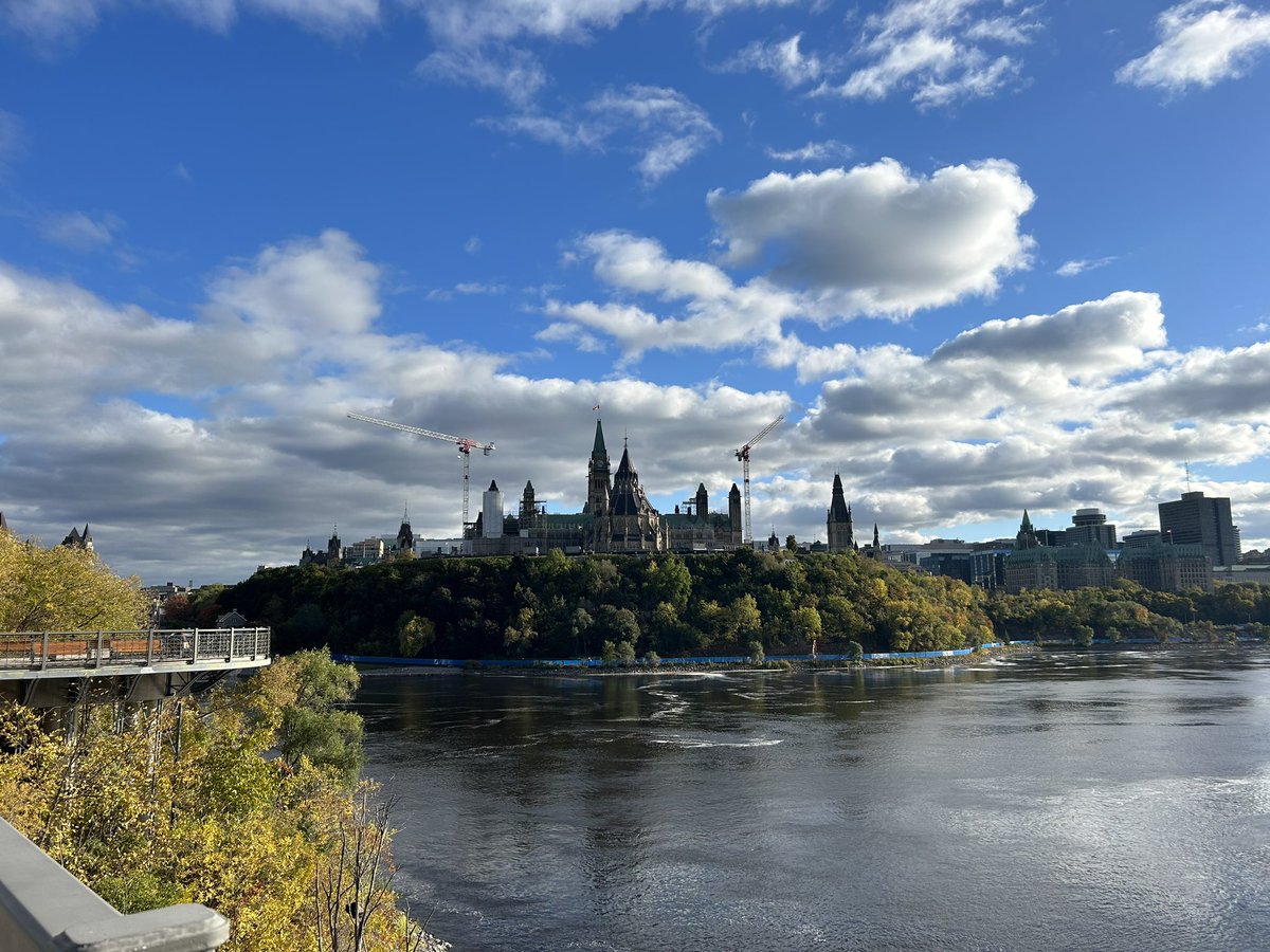 Dr Thomas Kersey tweet media