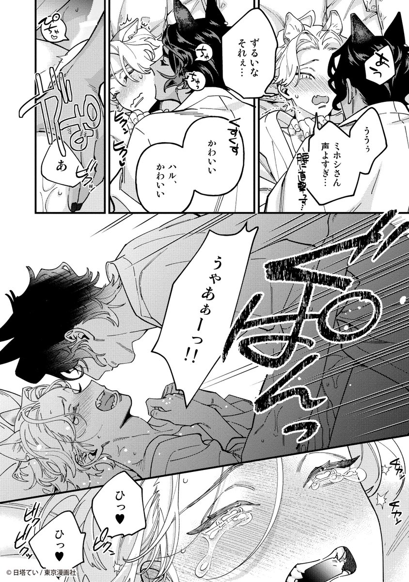(5/9) 