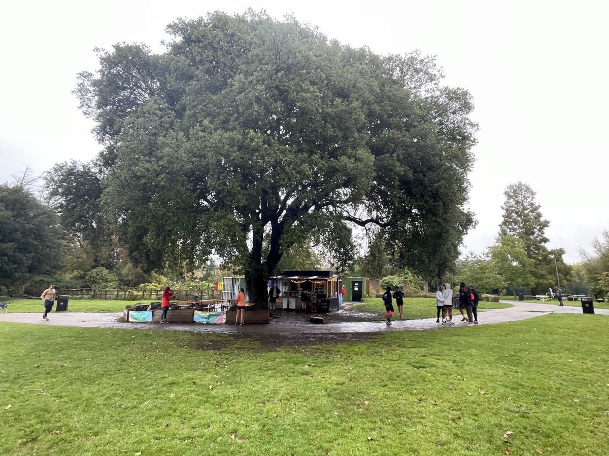 Catford parkrun tweet media