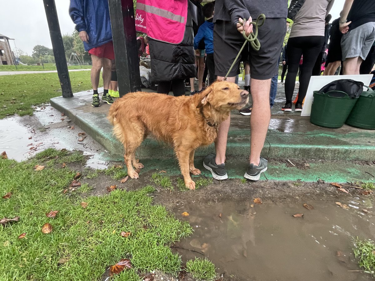 Catford parkrun tweet media