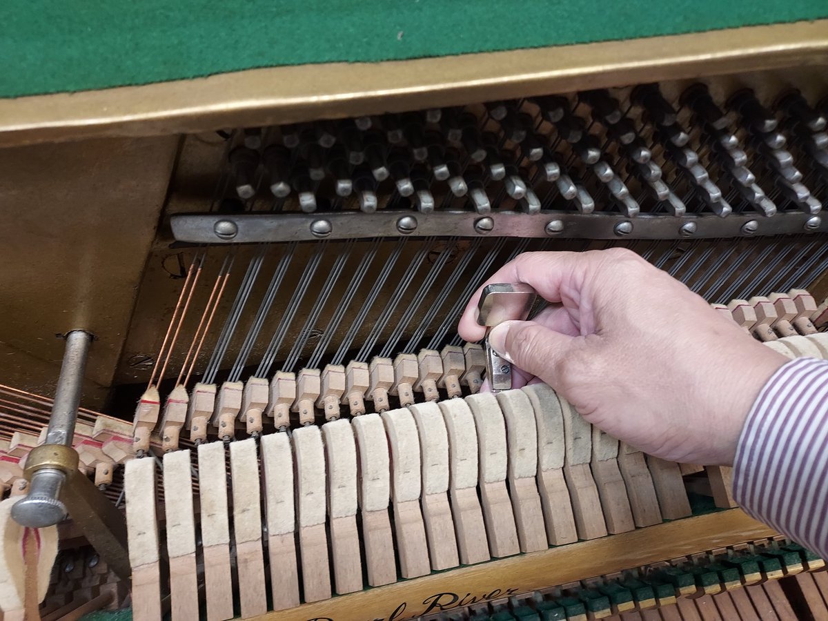 cklawpianotuner's tweet photo. 中國老朋友！

#Pearlriver
#pianotechnician 
#pianotuner 
#pianorepair
#pianobassstrings
#pianorefinishing
#piano
#recyele
#珠江
#鋼琴調音師
#鋼琴調律師
#鋼琴調音
#鋼琴調律
#鋼琴維修
#鋼琴補漆
#鋼琴低音弦線 
#鋼琴
#文化
#藝術
#文化藝術
#ピアノ調律師 
#ピアノ塗装
#ピアノ https://t.co/Wp5y3C6G6P
