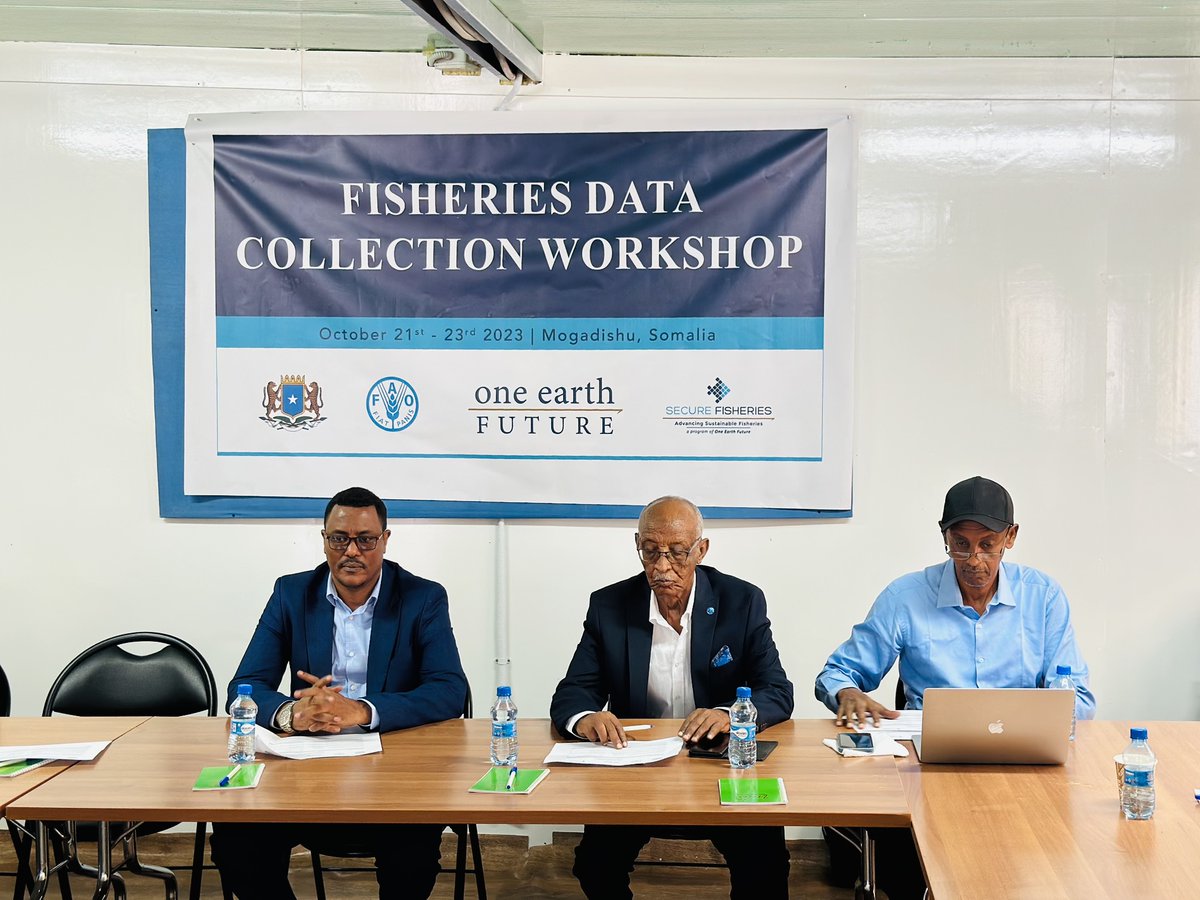 SecureFisheries's tweet photo. 🐟 National Fisheries Data Collection Project-Phase 3 Kick-off workshop is now underway in Mogadishu, with support from  @FAOSomalia and the Somalia Minister of Fisheries @MFBESomalia

 🌊 Let's work together for sustainable fisheries! 

🎣 #FisheriesData #Somalia #Sustainability https://t.co/bpnviShLly