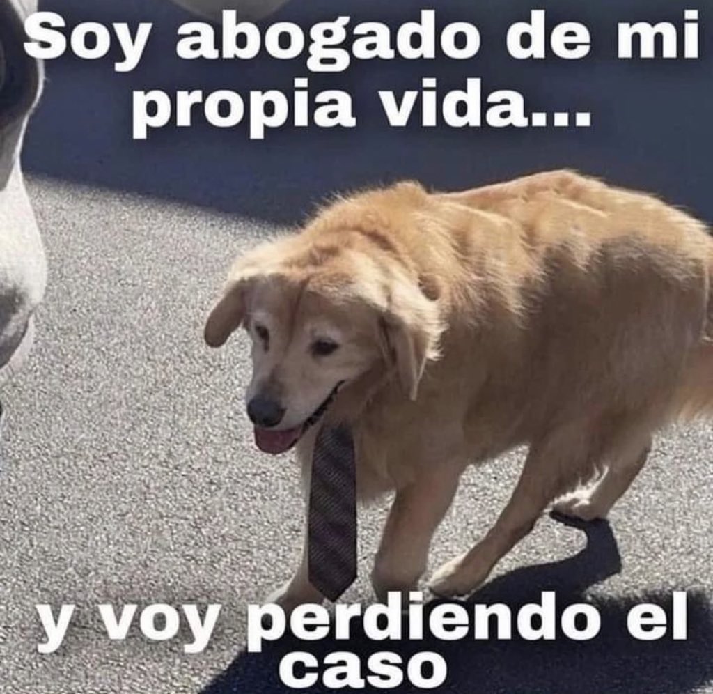 piña sin pizza (@skereunpesado) on Twitter photo 