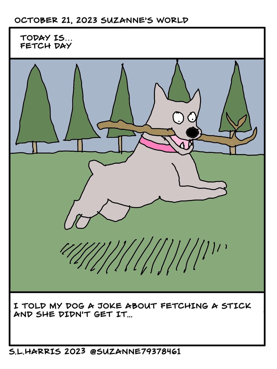 Suzanne79378461's tweet image. #FetchDay #Dog