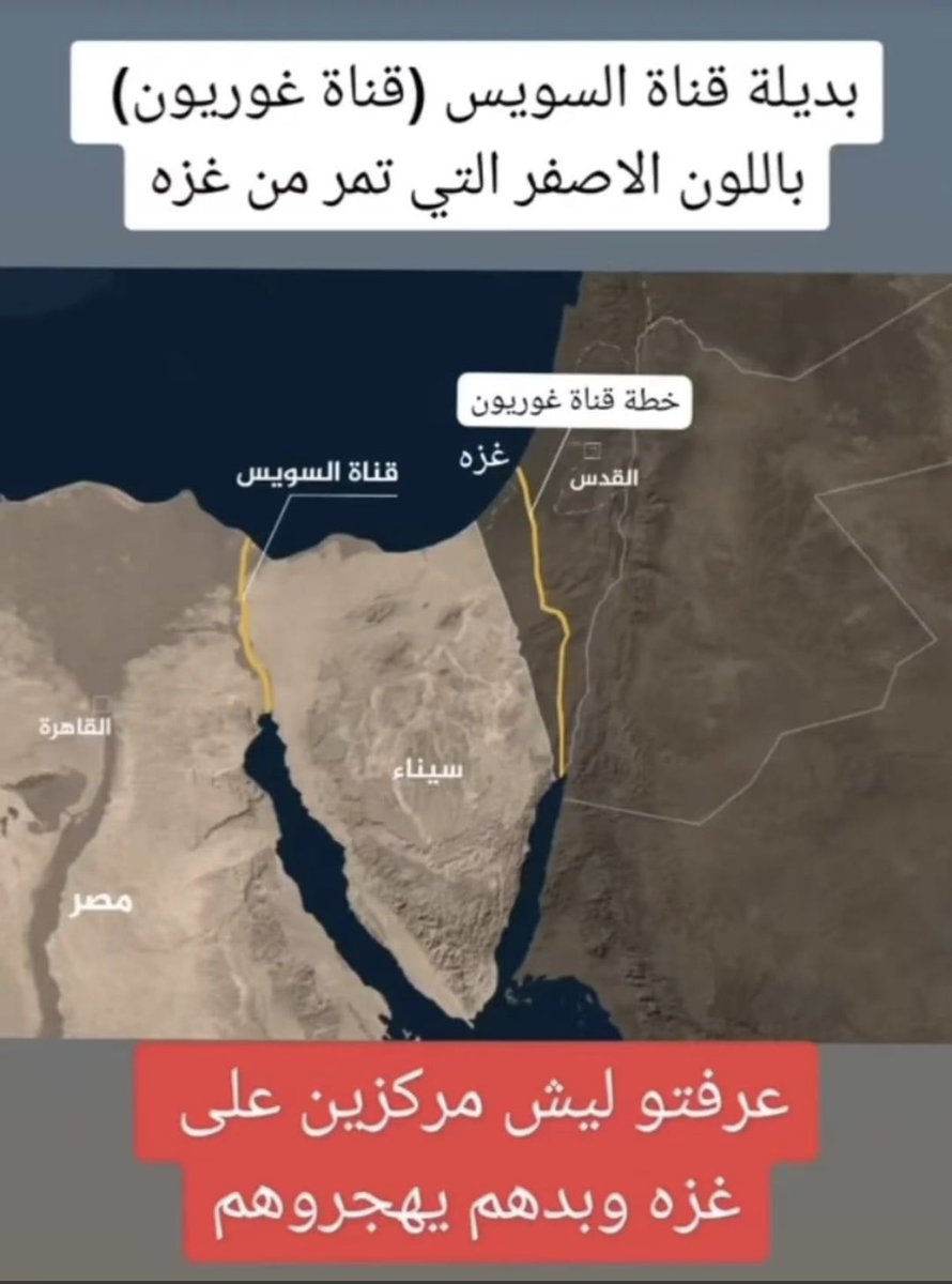 أفهم بقى بردودك الغبيه 👌