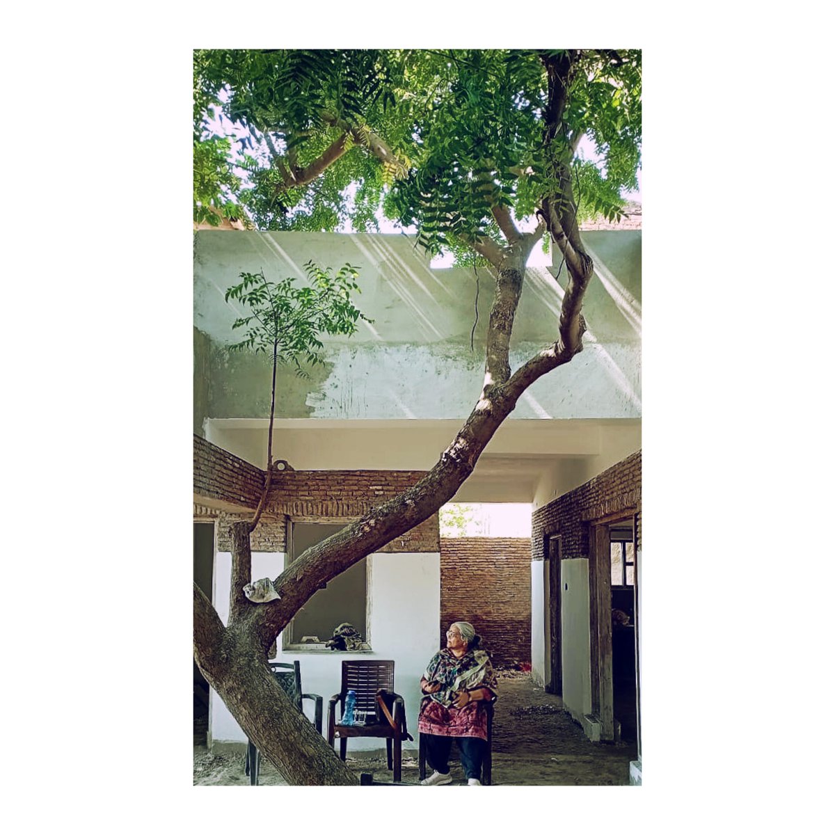 DHARATAL1's tweet photo. The joy of seeing those designed spaces receiving the inhabitants and elements of nature better than we expected. :) 
Our ongoing design project in Uttar Pradesh. 
#architecture #design #sustainable #wip https://t.co/SzfSVdrREc