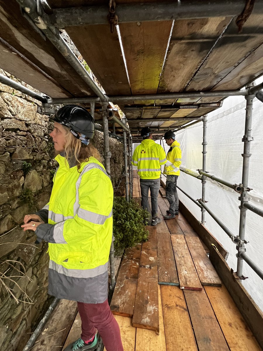 Wicklow Community Archaeology tweet media