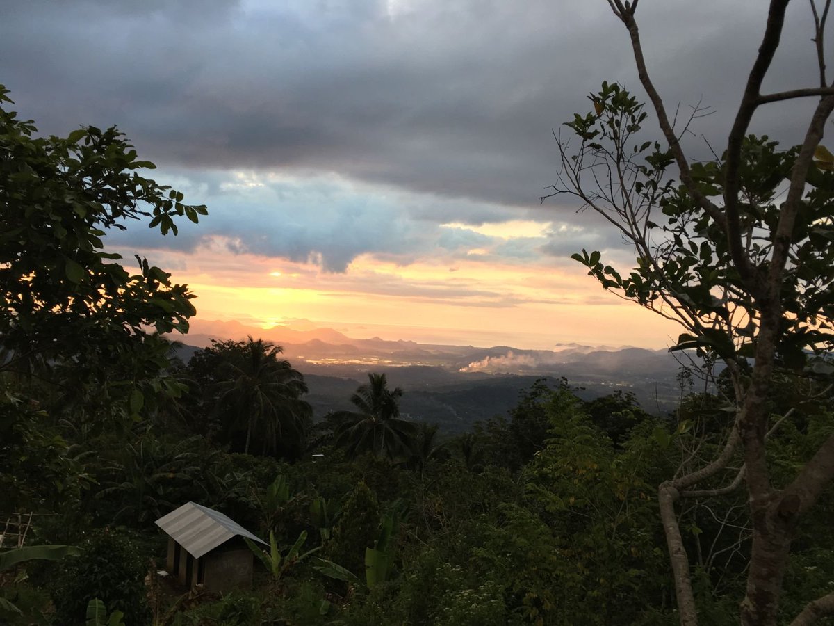 AdamEth.sol (33.3%) ❤️ Memecoin tweet media