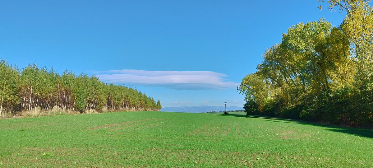 pooky244's tweet photo. Mračoun s krakonošema https://t.co/JeKZt9PEG2