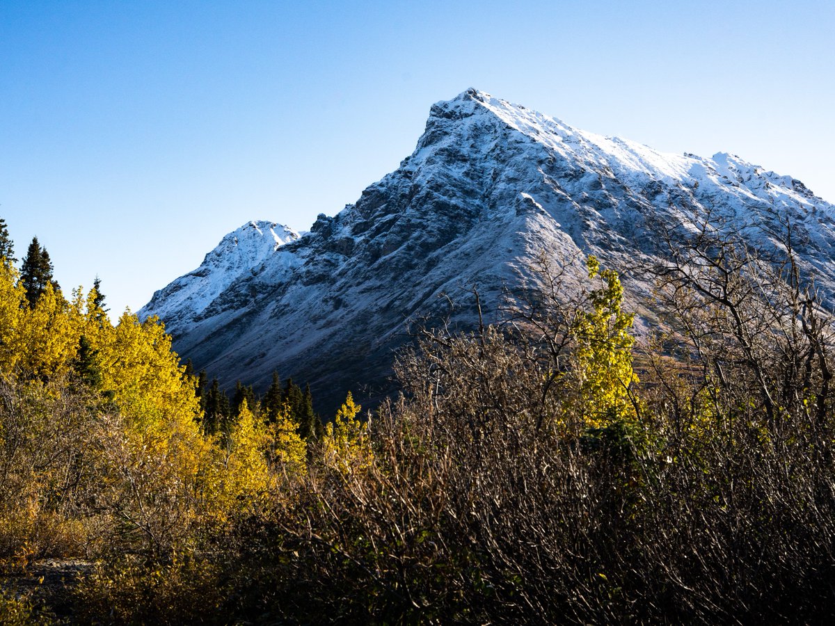 Franklin_Graham's tweet image. "Blessed be the God and Father of our Lord Jesus Christ, who according to His abundant mercy has begotten us again to a living hope through the resurrection of Jesus Christ from the dead," (1 Peter 1:3) #Alaska