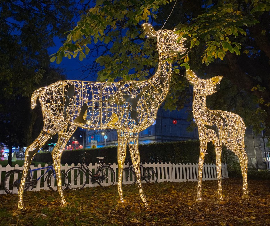 🎄A Christmas break in Galway City calls for time at Residence Hotel!

We even have options for Christmas parties and festive lunches. Or maybe you'd prefer a romantic stay in our beautiful city?

Book your stay in the heart of Galway city centre: 
brnw.ch/21wDJCd
