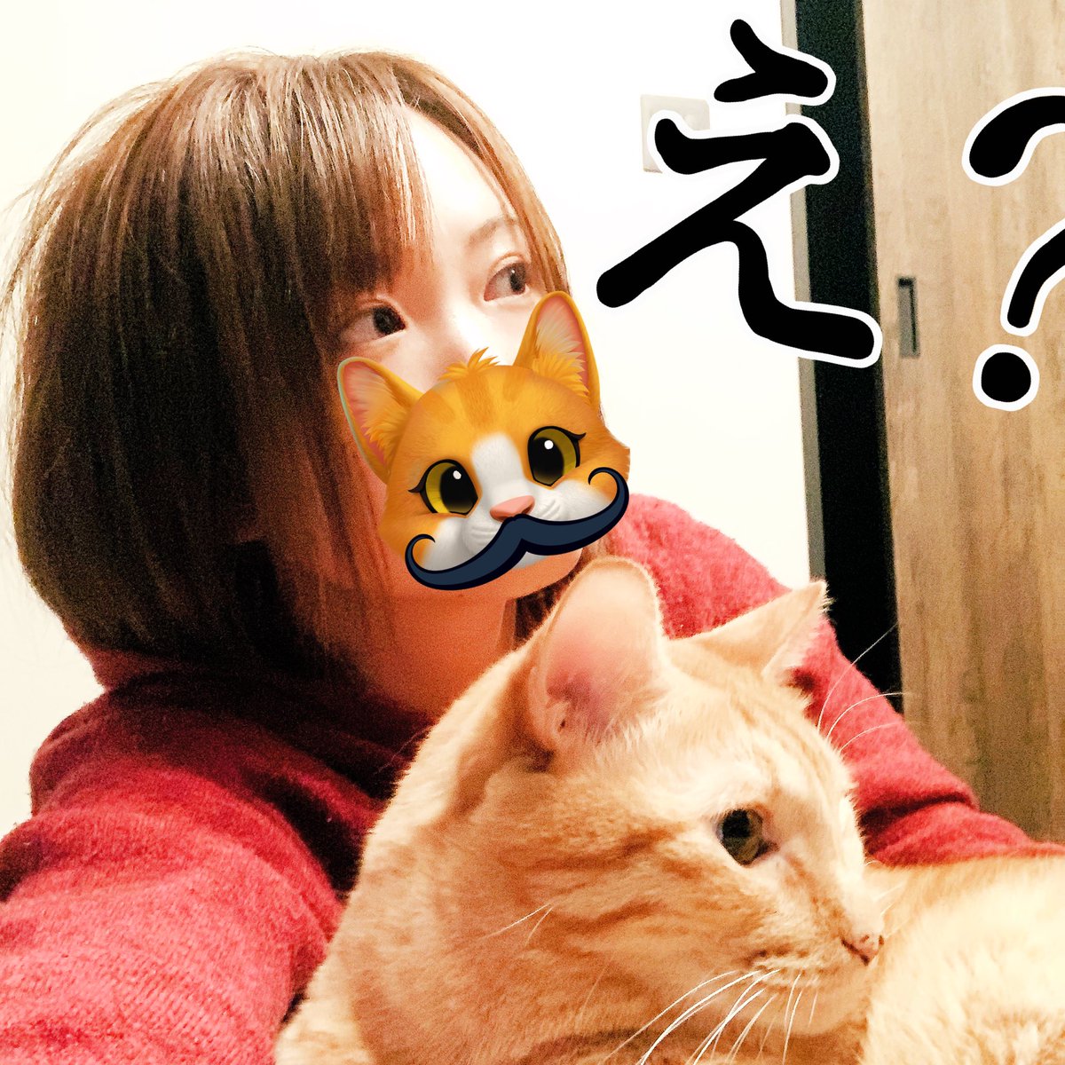 ごまにホールドされて撮影して遊んでました、スノウ優秀で毛穴とそばかす隠してくれるし、ゴマを使って口を隠せるしで😆🌱
3枚目は何もないのにゴマが反応してタイマーが思わず撮った写真もなかなかw
でも毛も眉もボサボサで隠せてないしハゲ散らかしてるなあ😂
#猫のいる生活
#たまには写真