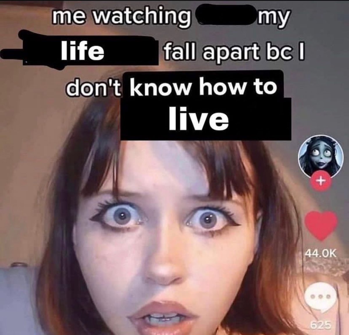 Wild TikToks (@wildtiktokss) on Twitter photo 
