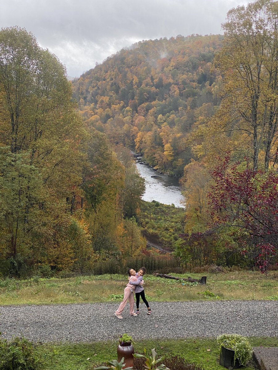 cindy crusto tweet media