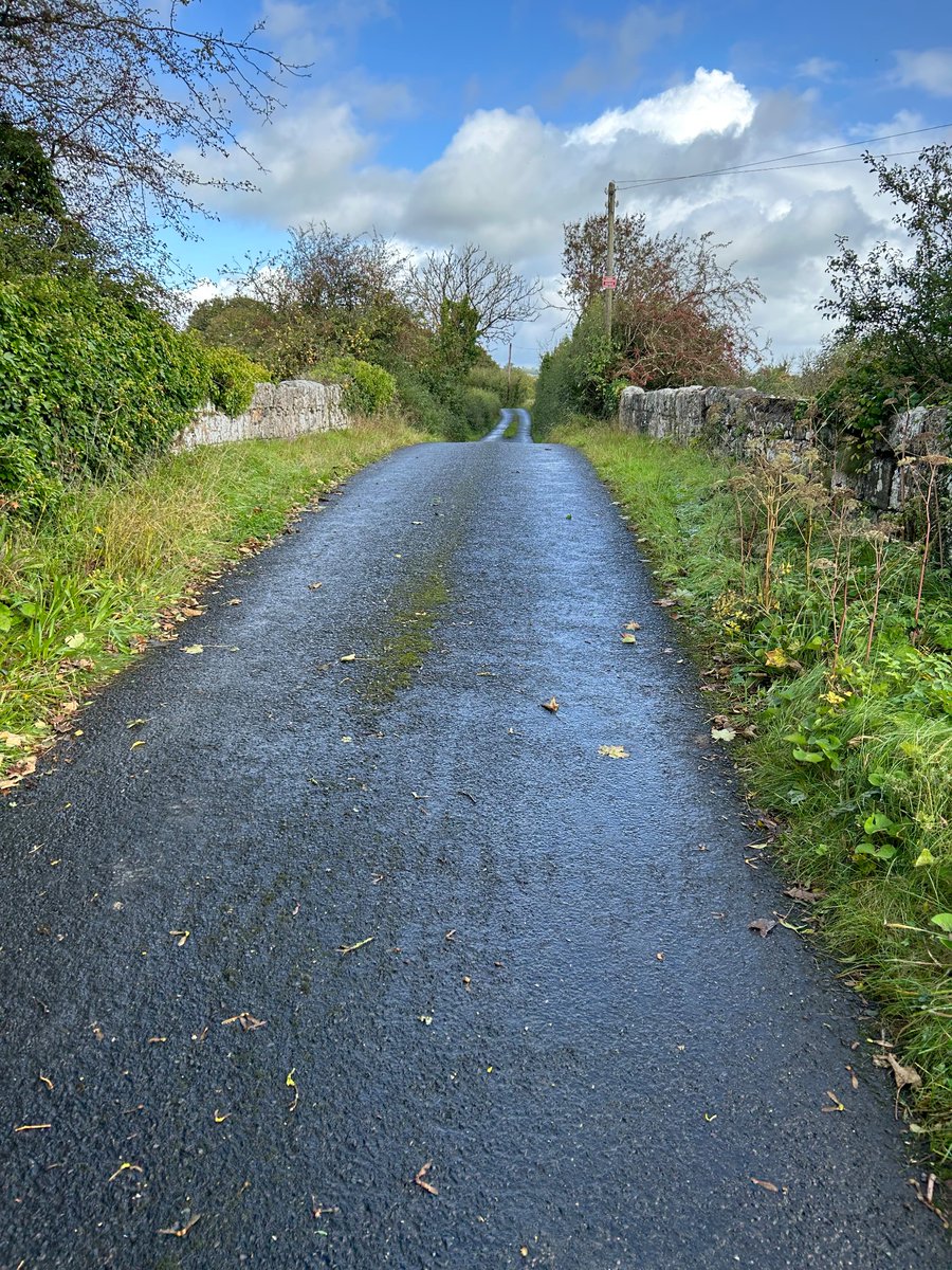 I fervently believe in the Armed Struggle to free my Country from any vestige of British Rule..

There is only one path to the Irish Republic proclaimed in 1916, a straight road veering neither right nor left