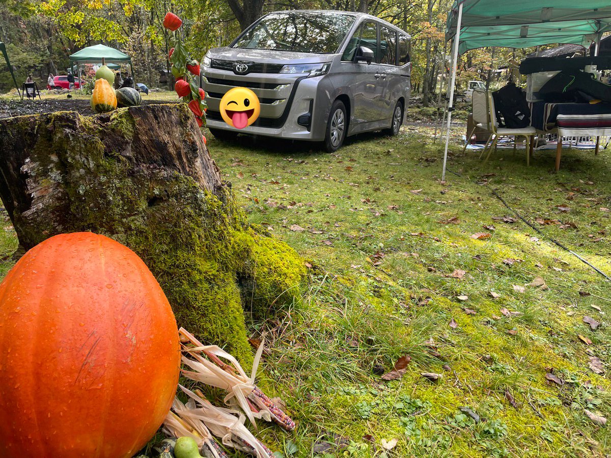 menscap's tweet photo. 秋、茶色、ハロウィン🎃 https://t.co/vTkDBxgcNn