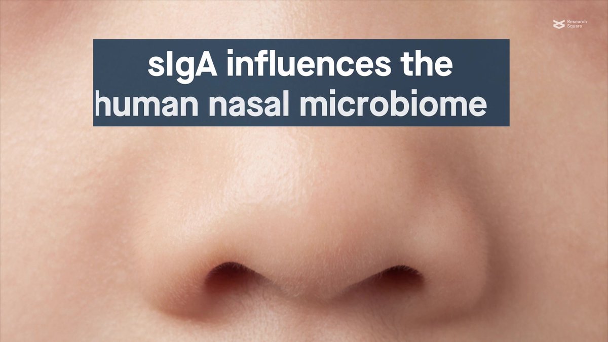 Nasal IgA governs if respiratory colonizers and pathogens can establish. Read how vastly IgA levels vary affecting microbiome members differently. #S.aureus uses protein A to accumulate IgA. By Rob van Dalen, <a href="/Ah_M_Elsherbini/">Ahmed M. A. Elsherbini</a> ...
<a href="/CoE_CMFI/">Controlling Microbes to Fight Infections</a>
<a href="/DZIF_/">DZIF (inaktiv)</a>