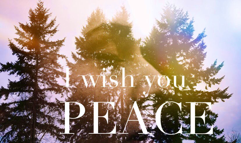 SereneSpace's tweet photo. The answer the solution &amp;resolution is PEACE LOVE GRACE
Time is now end the #IsraelPalestineWar flow to Peace Decades ago #Israel stole  #Palestine peoples homes/lands removed all their schools hospitals etc
Resolve Dissolve all your issues both nations LIVE ON IN PEACE in #UNITY https://t.co/l2HUF2Lql1