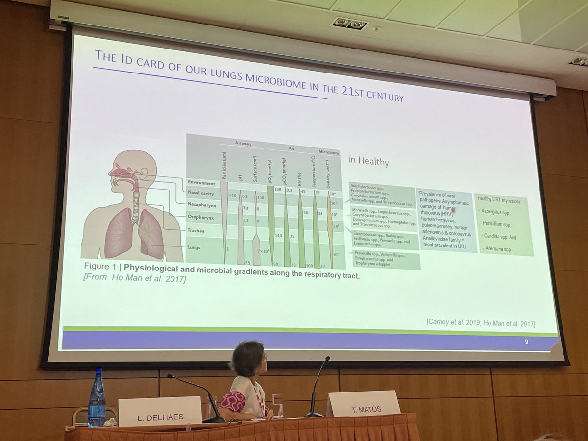 botterelf's tweet photo. 🍄➡️Very interesting session about mycobiome in #TIMM2023 : role of Pneumocystis &amp; Malassezia in mycobiome? Role of the antibiotic treatment in mycobiome? A lot of questions but also a lot of perspectives. Thanks to L. Delhaes, D. Weaver &amp; Cecile Angebault. ⁦@sfmm_myco⁩ https://t.co/il7c1A539o