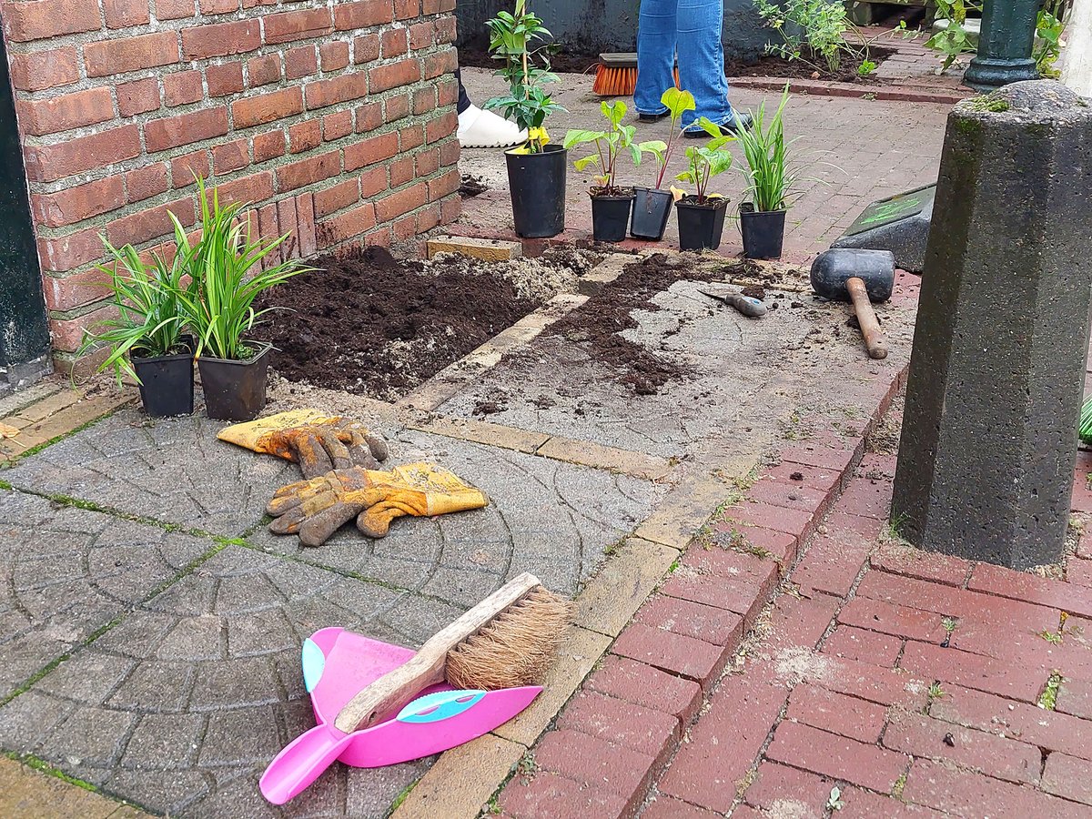 Gemeente_ZWL's tweet photo. 💚 Net als in de Klaas Benninkstraat in Genemuiden wordt ook in Hasselt hard gewerkt voor het @tegelwippen. Daar maken bewoners van de Baangracht en de Kloostersteeg nieuwe geveltuintjes om hun straat te vergroenen. 🌱🌼
#NKTegelwippen #Vergroenen #Klimaat #GroenWonen https://t.co/aLWu2fQC86