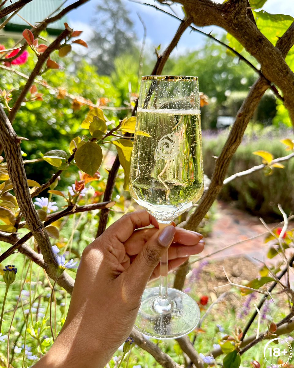 A cool refreshing day in Franschoek enjoying the complexities of my Litchi Sèche #BrutalFruitSpritzer 😍🤍🥂✨

#SpritzerSaturday 
<a href="/brutalfruitsa/">Brutal Fruit</a>