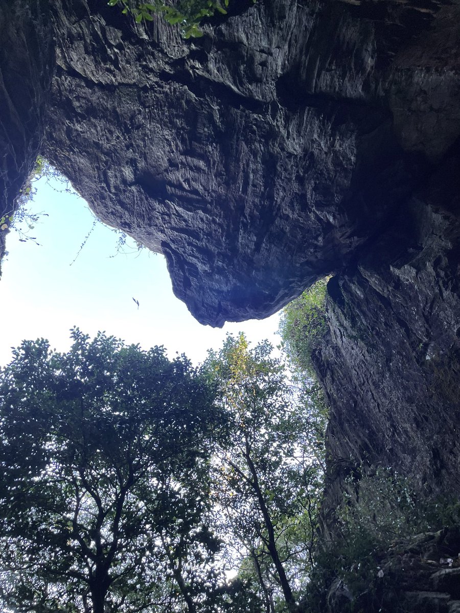 stonenews's tweet photo. 大分県大分市市尾
白山神社

人が訪れることもほぼ無いであろう山奥に、できた岩の裂け目を通り抜けると、聖なる空間が開けている。何ここ凄い……。 https://t.co/R8s12JjUWZ